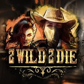 Play the 2 Wild 2 Die slot by Hacksaw Gaming on SkyHills Casino
