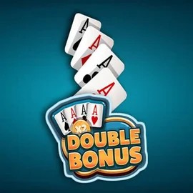 Play the Double Double Bonus slot by Red Rake Gaming on SkyHills Casino