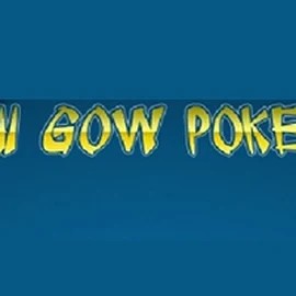 Pai Gow Poker online slot from Rival – play at sky-hillscasino.com