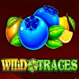 Wild Traces logo by Amusnet Interactive at SkyHills Casino